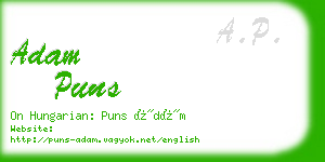 adam puns business card